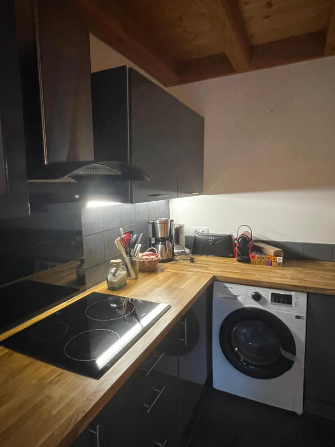 Chalet Le Lotus Blanc Les Deux Alpes Dış mekan fotoğraf