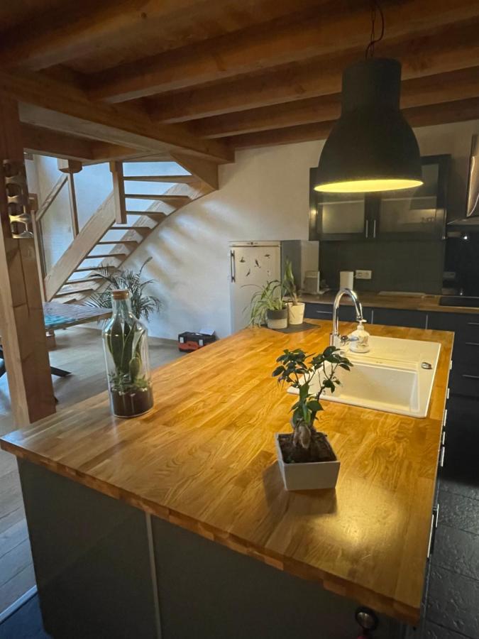 Chalet Le Lotus Blanc Les Deux Alpes Dış mekan fotoğraf